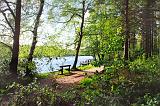 Portglenone forest seat